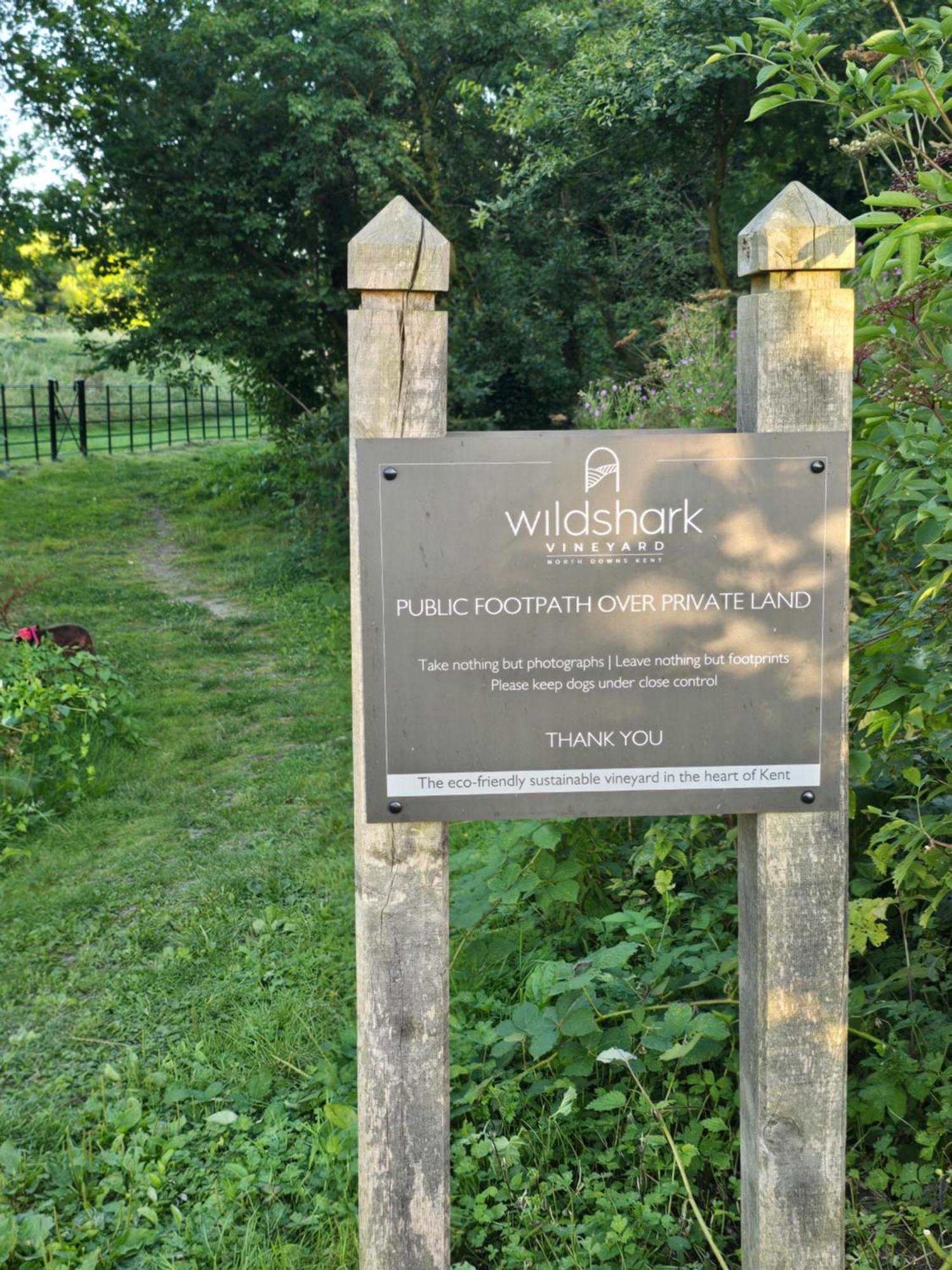 Willow Cottage In Idyllic Location Harrietsham Ngoại thất bức ảnh